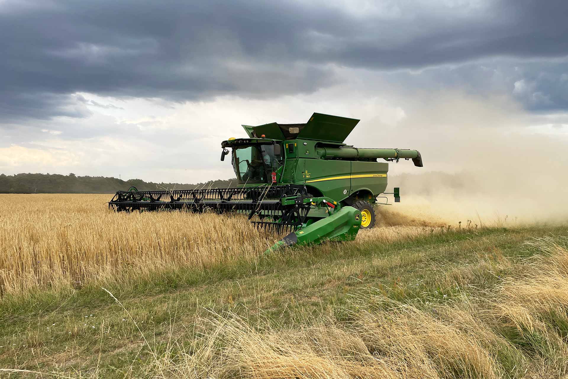 Agrargenossenschaft Cobbelsdorf eG - Pflanzenproduktion - Mähdrescher, Mähen, Feld, Felder, Nachhaltige Landwirtschaft mit moderner Technik, Umweltgerechte Produktion für fruchtbare Böden, Erträge: Getreide, Raps, Zuckerrüben und Futtermittel